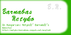 barnabas metyko business card